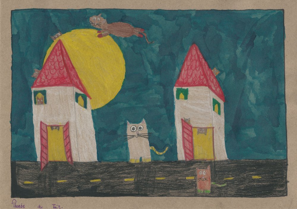 Phoebe du Toit - Huiskat